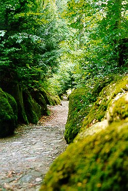 Hohle Gasse b. Küssnacht