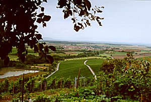 Blick vom Stollberg