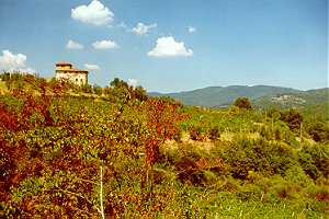 Typische Landschaft nach Greve